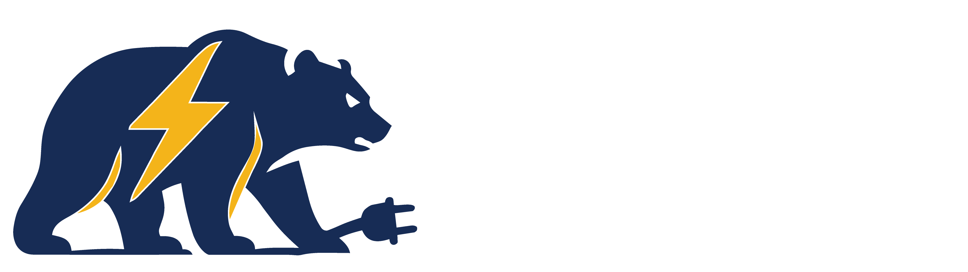 Papa Bear Power